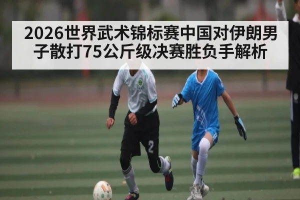 2026世界武术锦标赛中国对伊朗男子散打75公斤级决赛胜负手解析